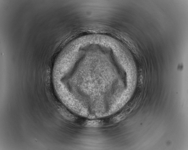 X0000099450461200806061110