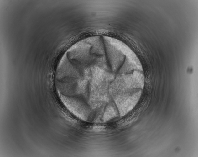 X0000099450462200806061110