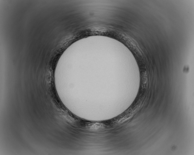 X0000099450463200806061110