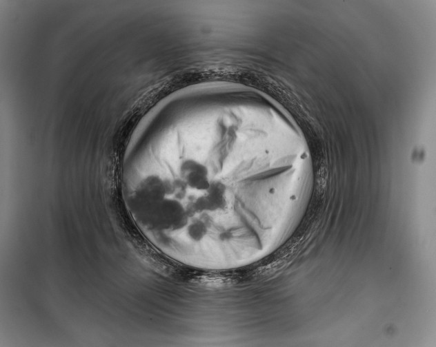 X0000099450464200806061110