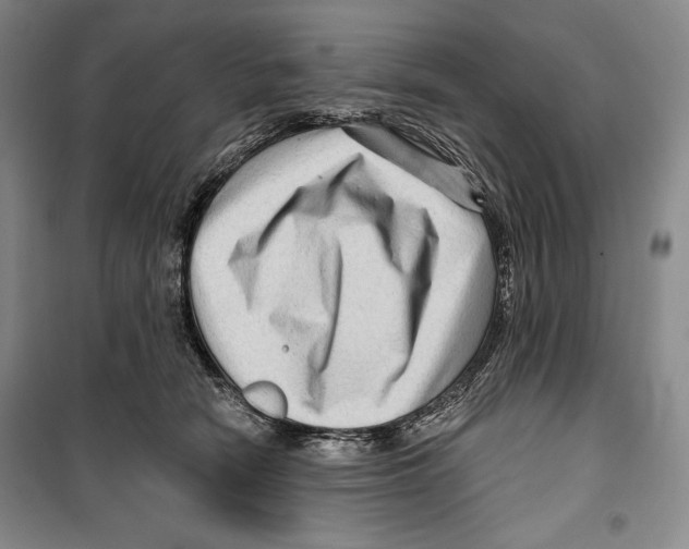 X0000099450466200806061110