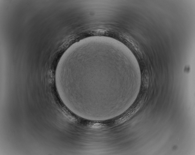 X0000099450467200806061110