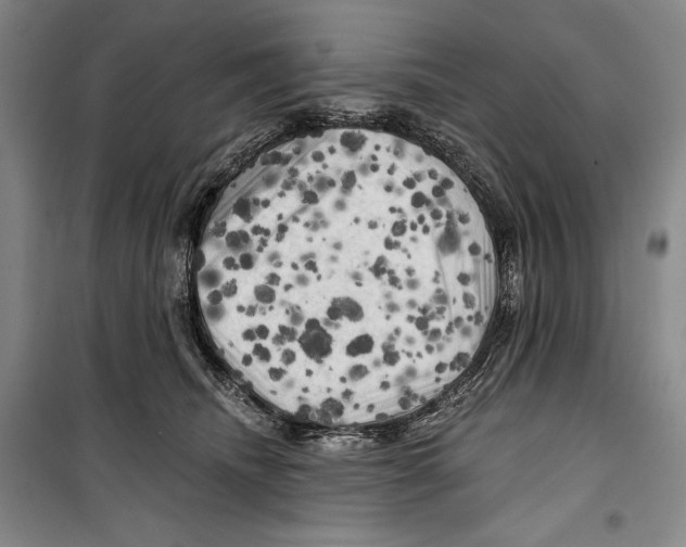 X0000099450468200806061110