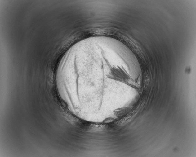 X0000099450469200806061110