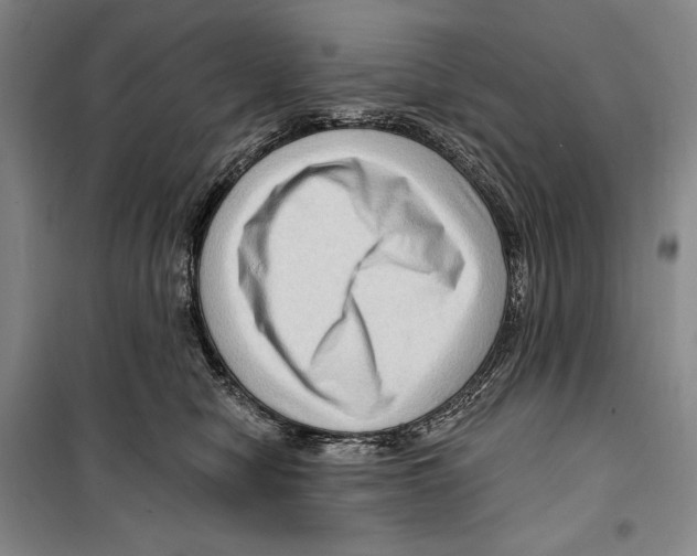 X0000099450470200806061110