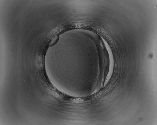 X0000099450471200806061110