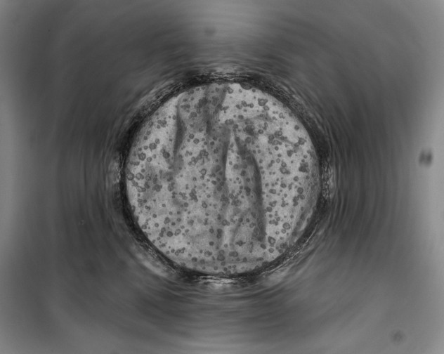 X0000099450472200806061110