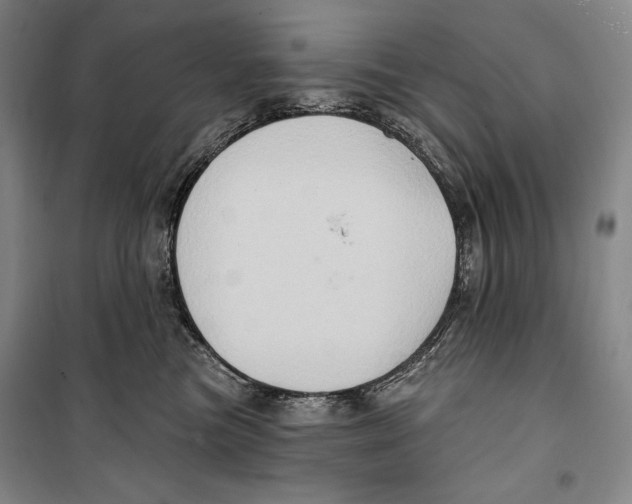 X0000099450473200806061110