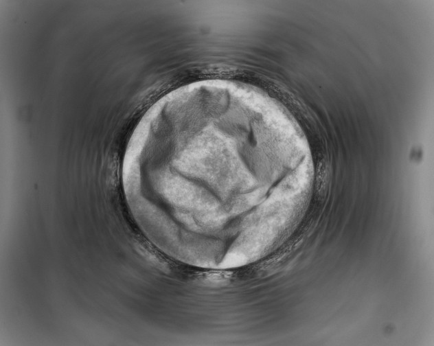 X0000099450474200806061110