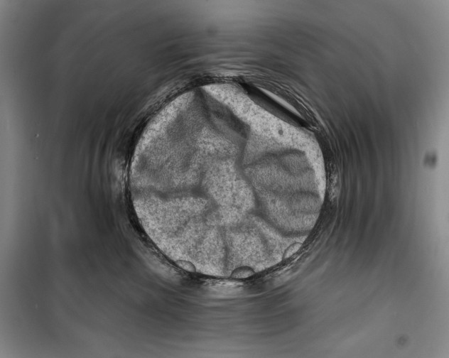 X0000099450476200806061110