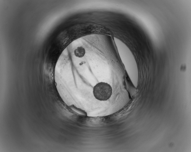 X0000099450479200806061110