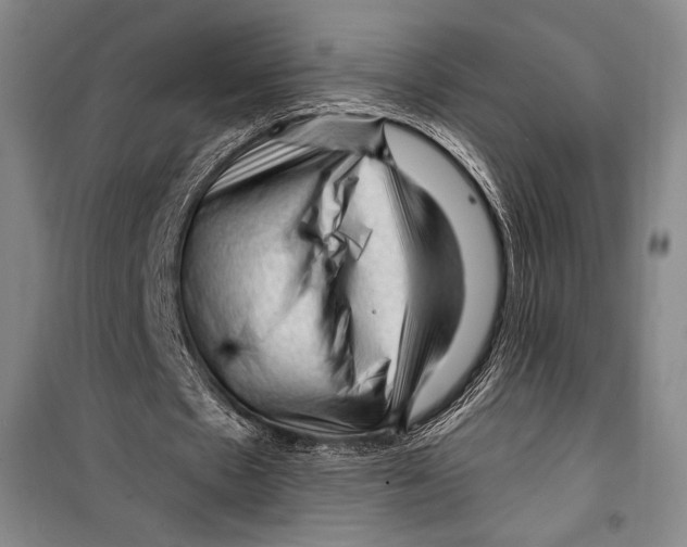 X0000099450481200806061109