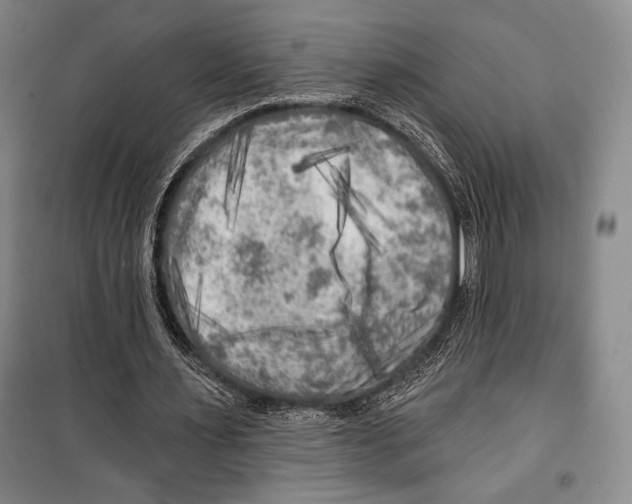 X0000099450483200806061109