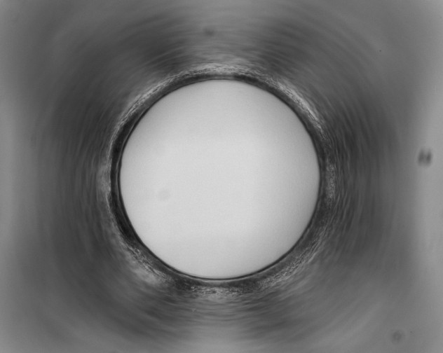 X0000099450486200806061109