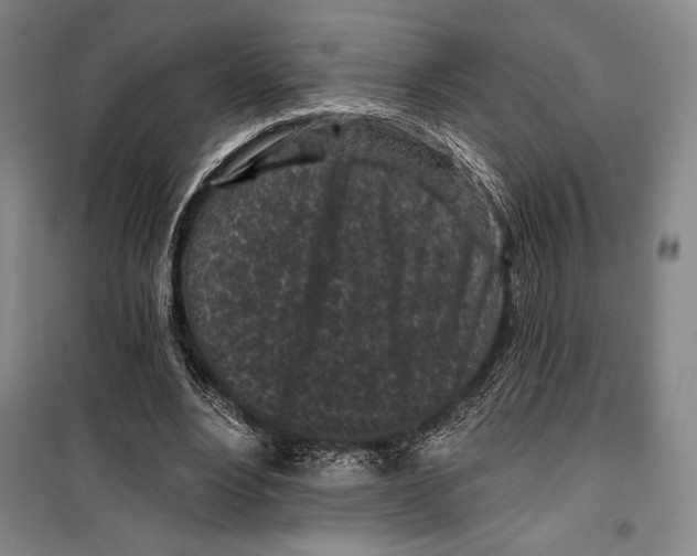 X0000099450488200806061109