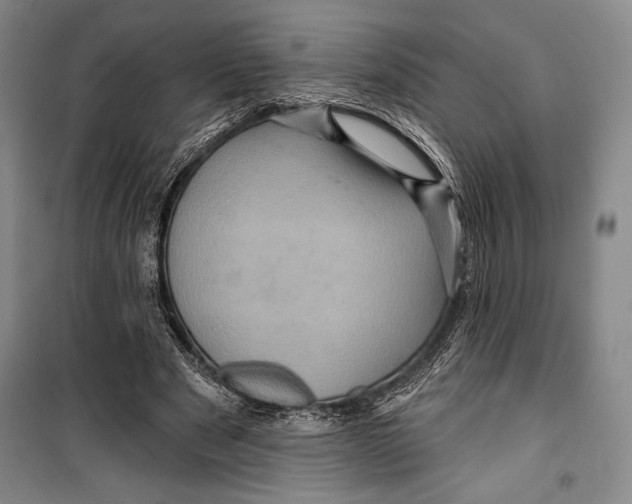 X0000099450489200806061109