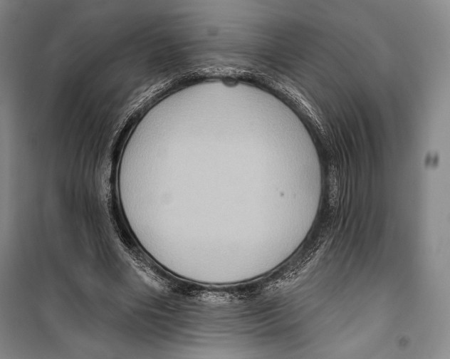 X0000099450490200806061109