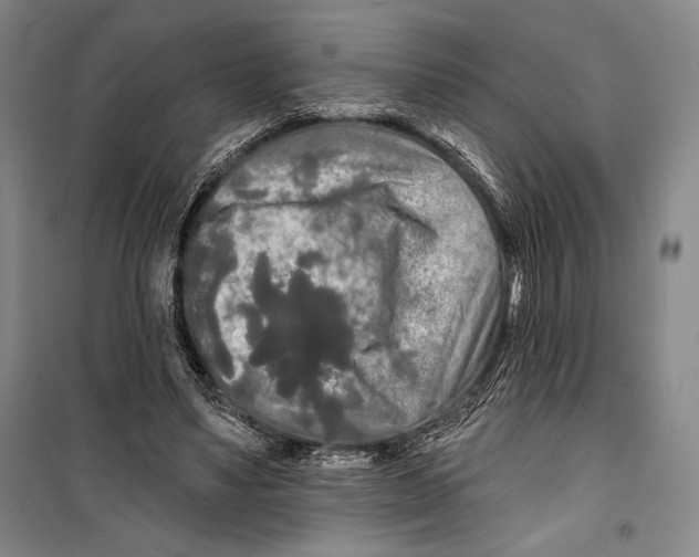 X0000099450491200806061109