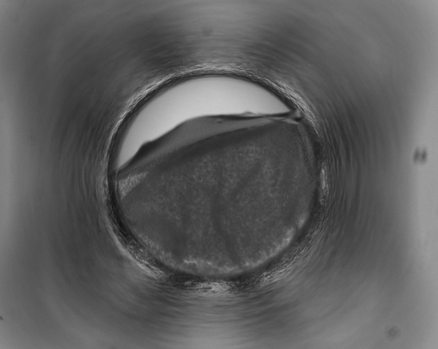 X0000099450492200806061109