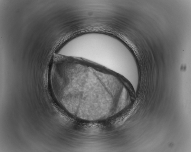 X0000099450493200806061109