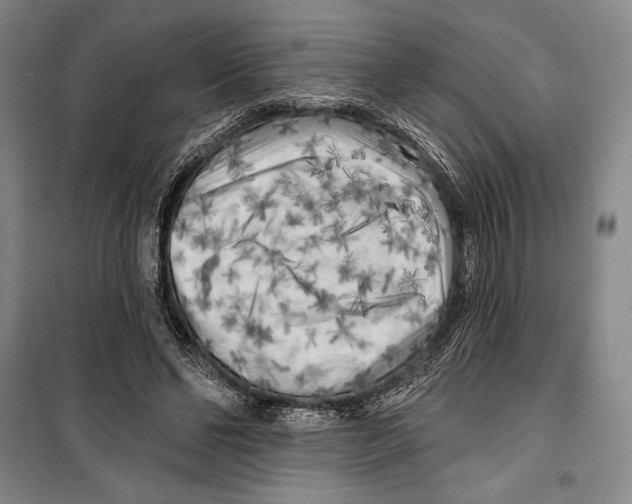 X0000099450494200806061109