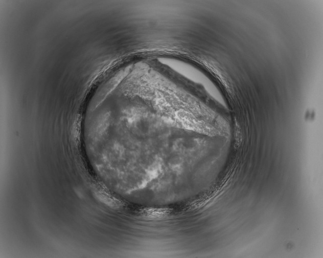 X0000099450495200806061109