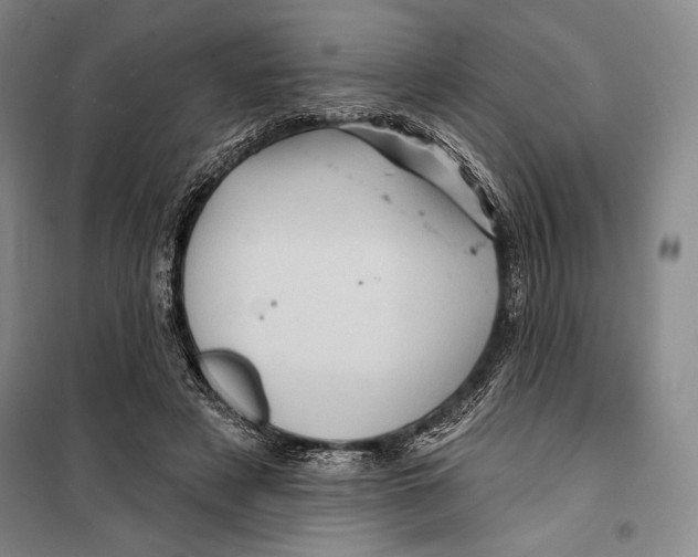 X0000099450497200806061109