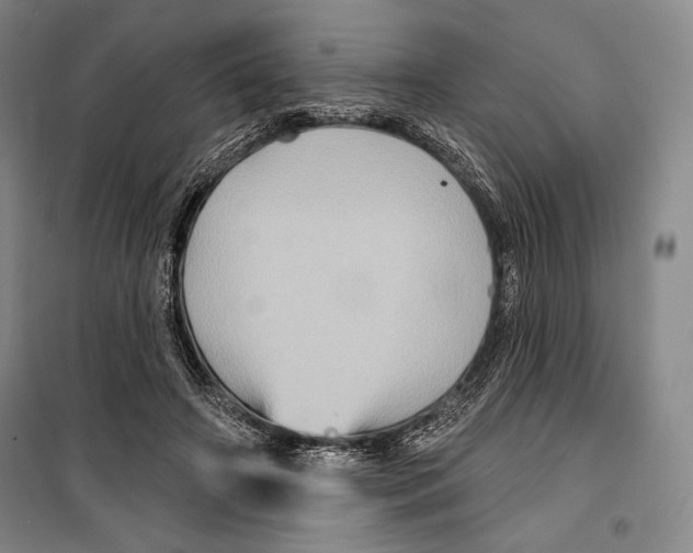 X0000099450498200806061109