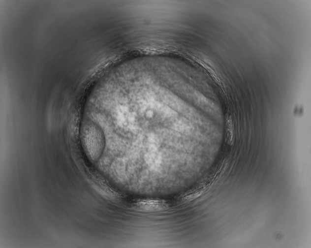 X0000099450499200806061109