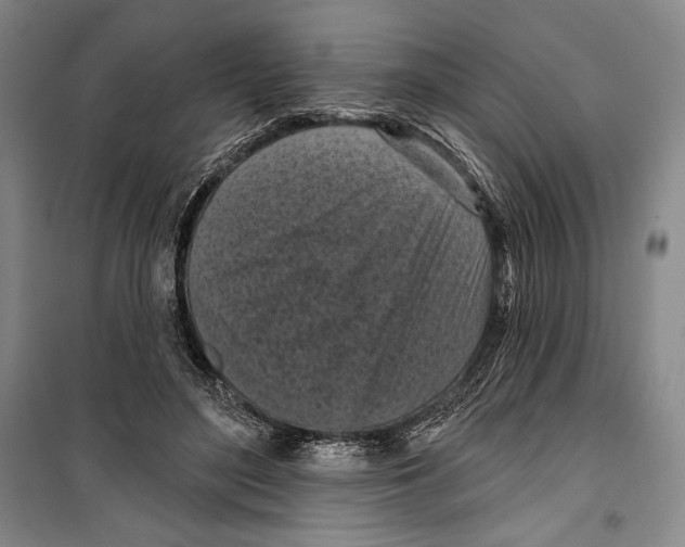 X0000099450500200806061109