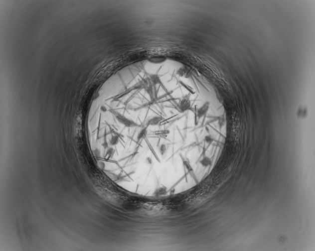 X0000099450502200806061109