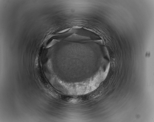 X0000099450504200806061109