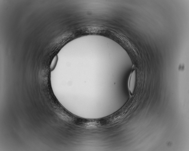 X0000099450505200806061109