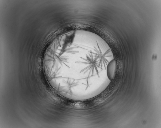 X0000099450506200806061109