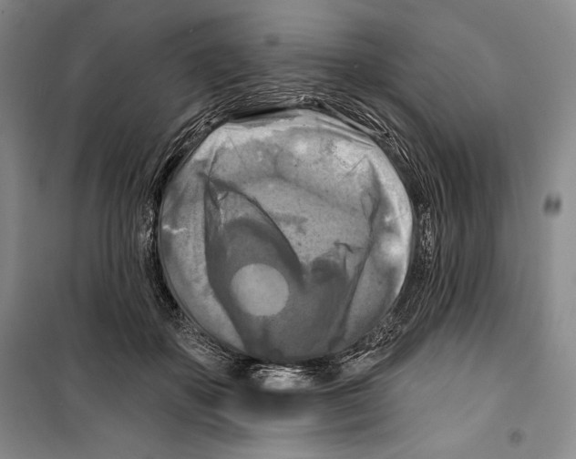 X0000099450507200806061109