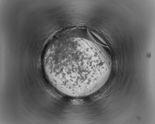 X0000099450508200806061109