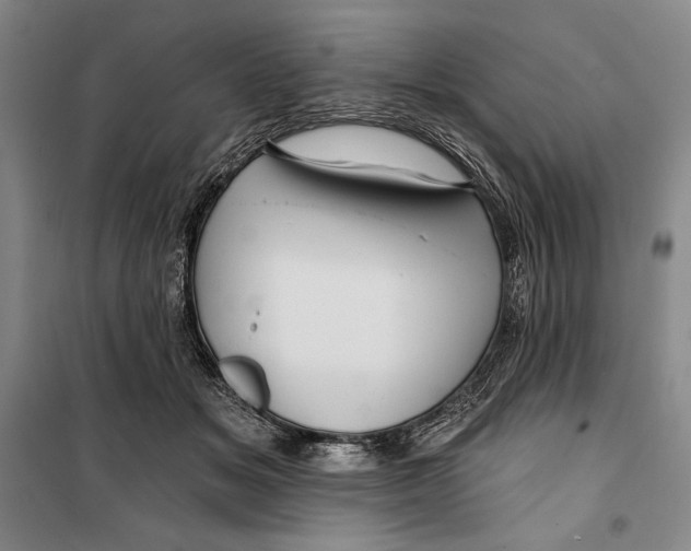 X0000099450509200806061109