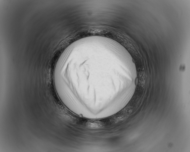 X0000099450510200806061109