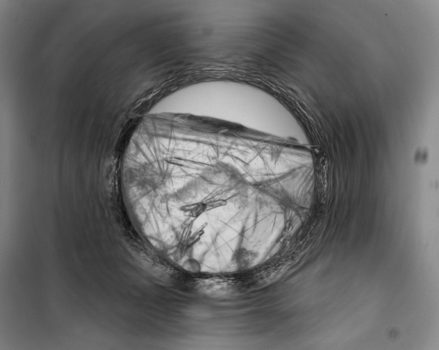 X0000099450511200806061109