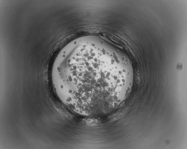 X0000099450512200806061109