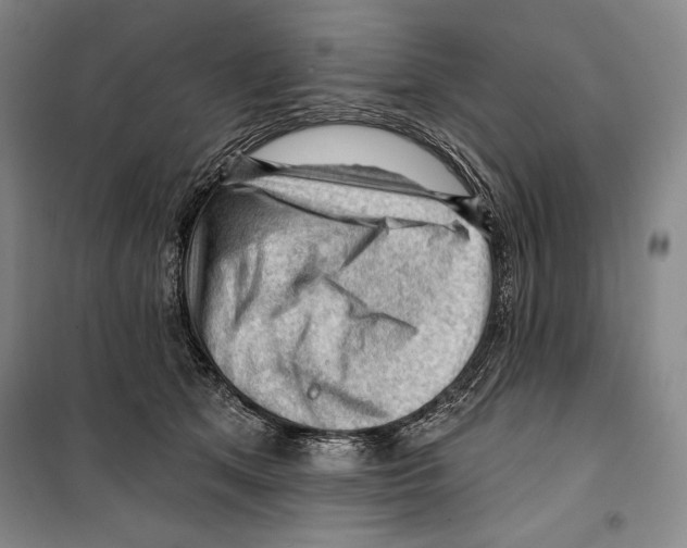 X0000099450513200806061109