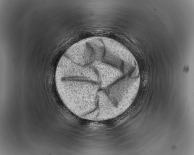 X0000099450515200806061109