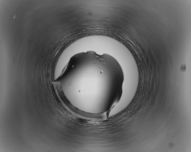 X0000099450516200806061109