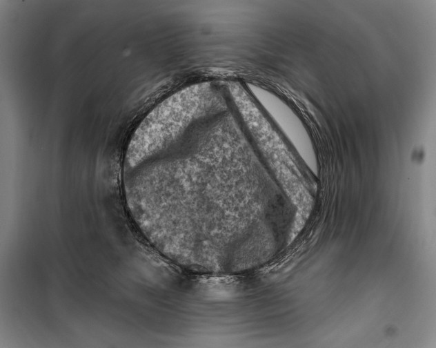 X0000099450517200806061109