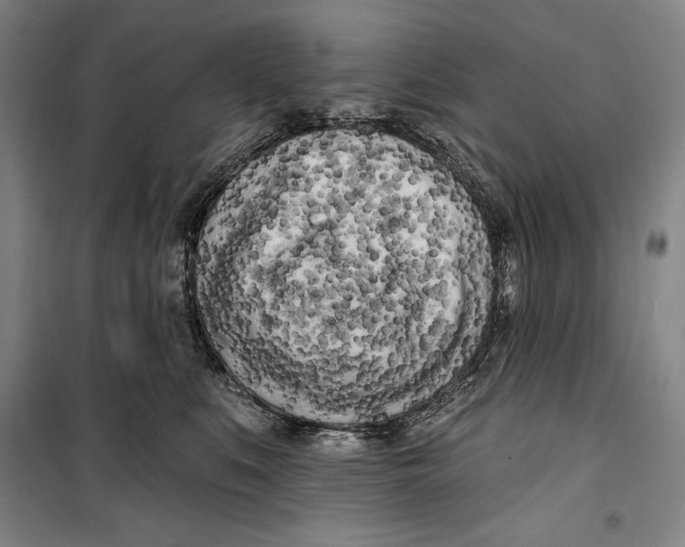 X0000099450519200806061109