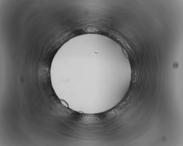 X0000099450521200806061109