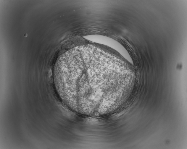 X0000099450523200806061109