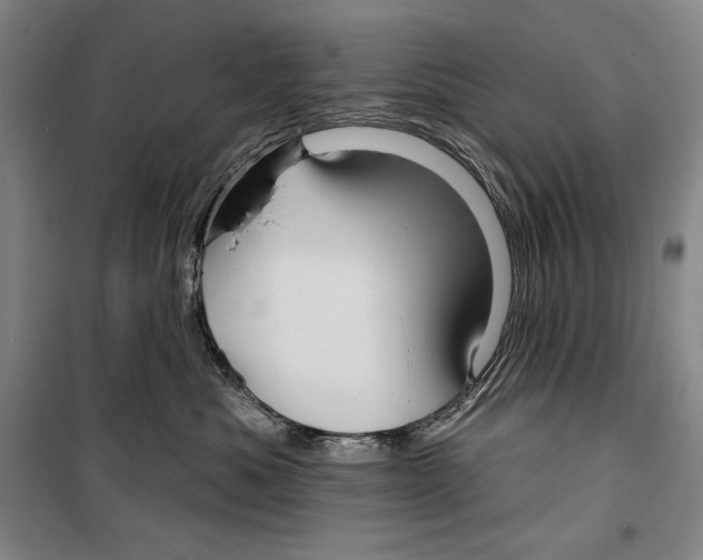 X0000099450525200806061109