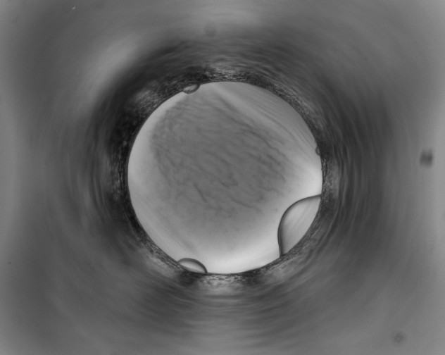 X0000099450526200806061109