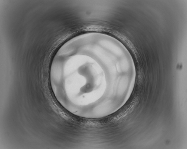 X0000099450529200806061108